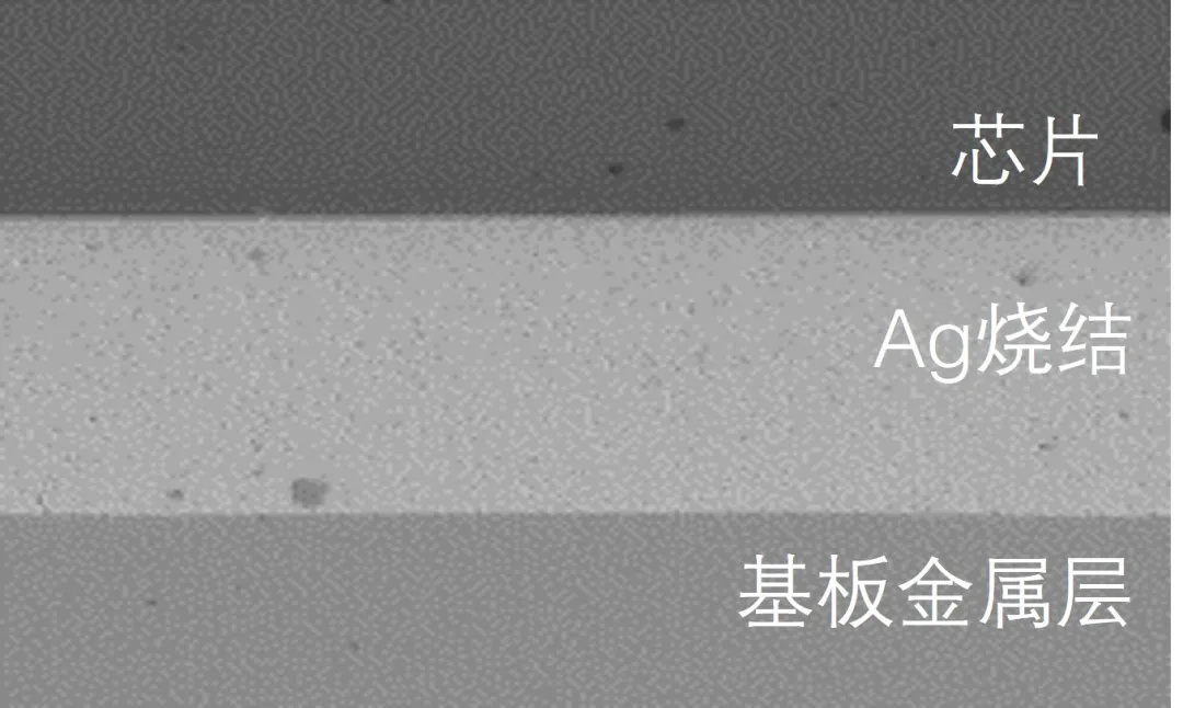 图4：Ag烧结后的横截面图像.png