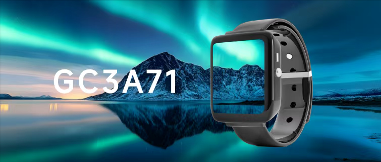 1750727502556688.png GC3A71.png