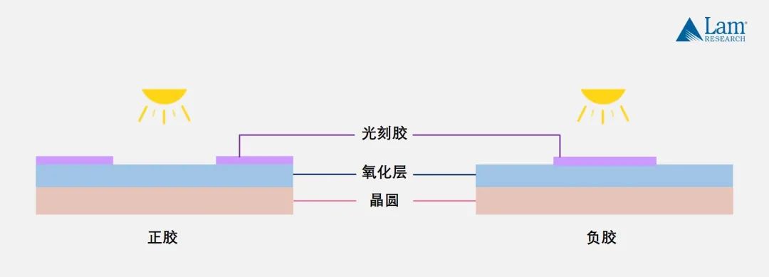 1627955753819470.jpg 5.jpg
