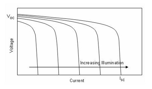 1635142624460470.jpg 1.jpg