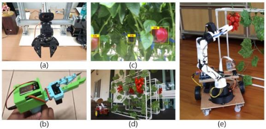 1635923473827215.jpg 2.jpg