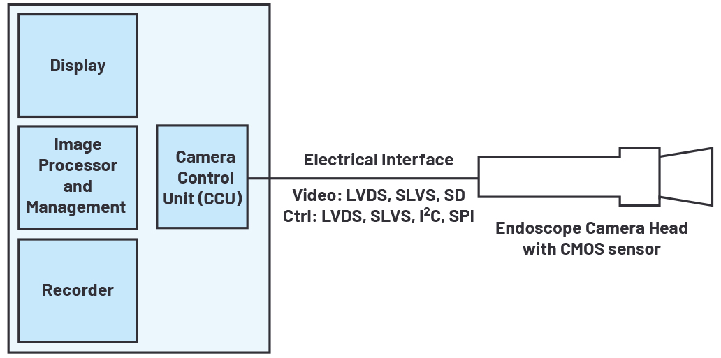 1637639236517538.jpg 339263-fig-03.jpg