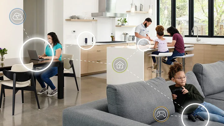 1649831339661535.jpg 1.jpg