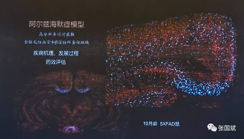 1666925374694551.png WDpNy5pzwC.png