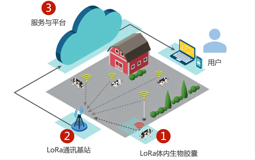 1669340338208098.png 5.png