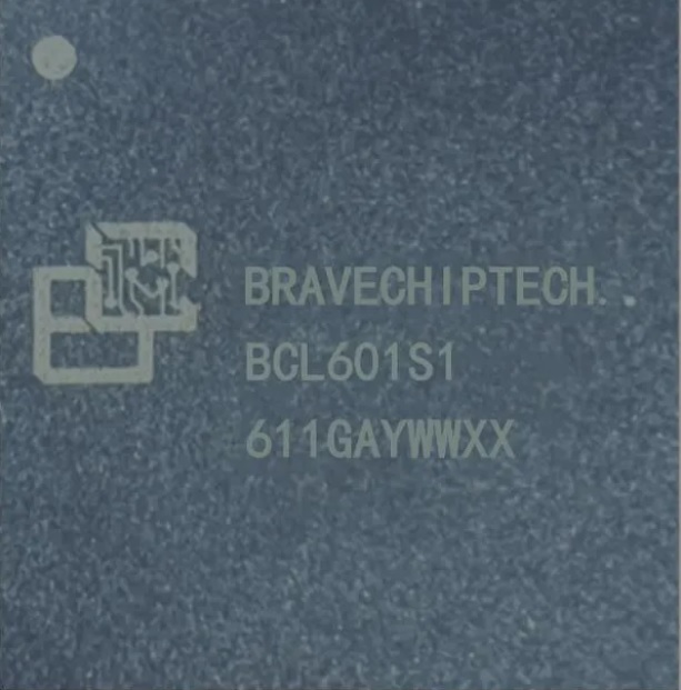 NOR276. Nordic Bravechip.jpg
