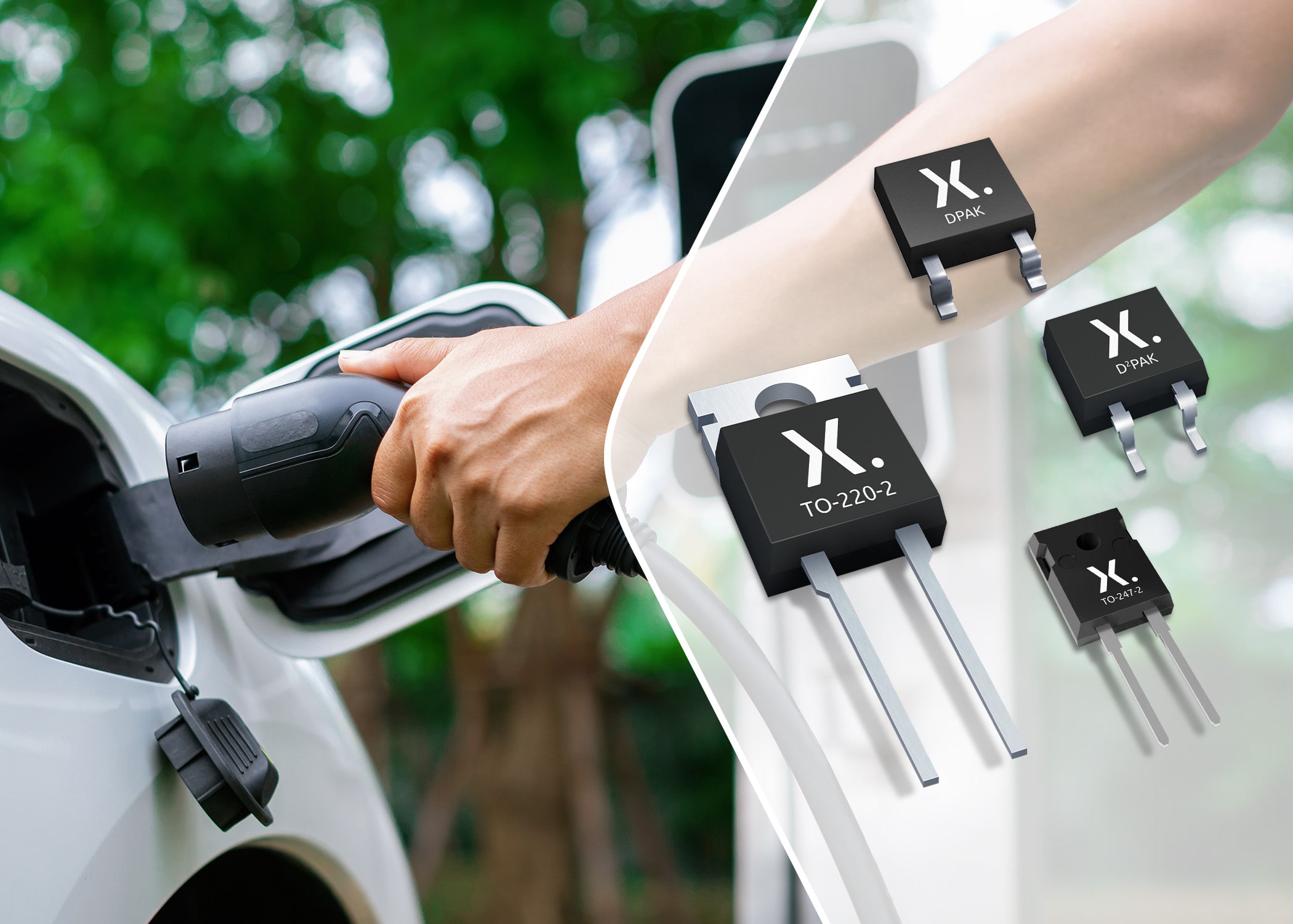 1718241895117829.jpg 1.jpg