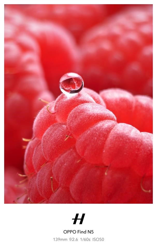 1740100777759257.jpg 12.jpg