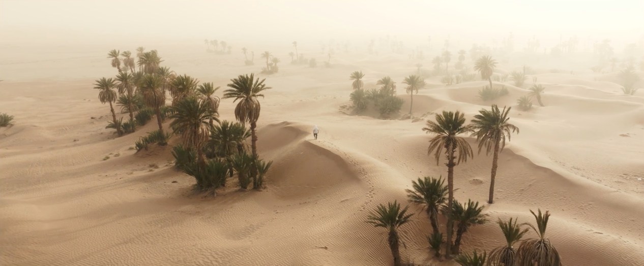 1743060437136019.png 7 (1).png