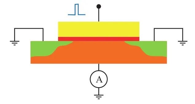 1744103828165555.jpg 1.jpg