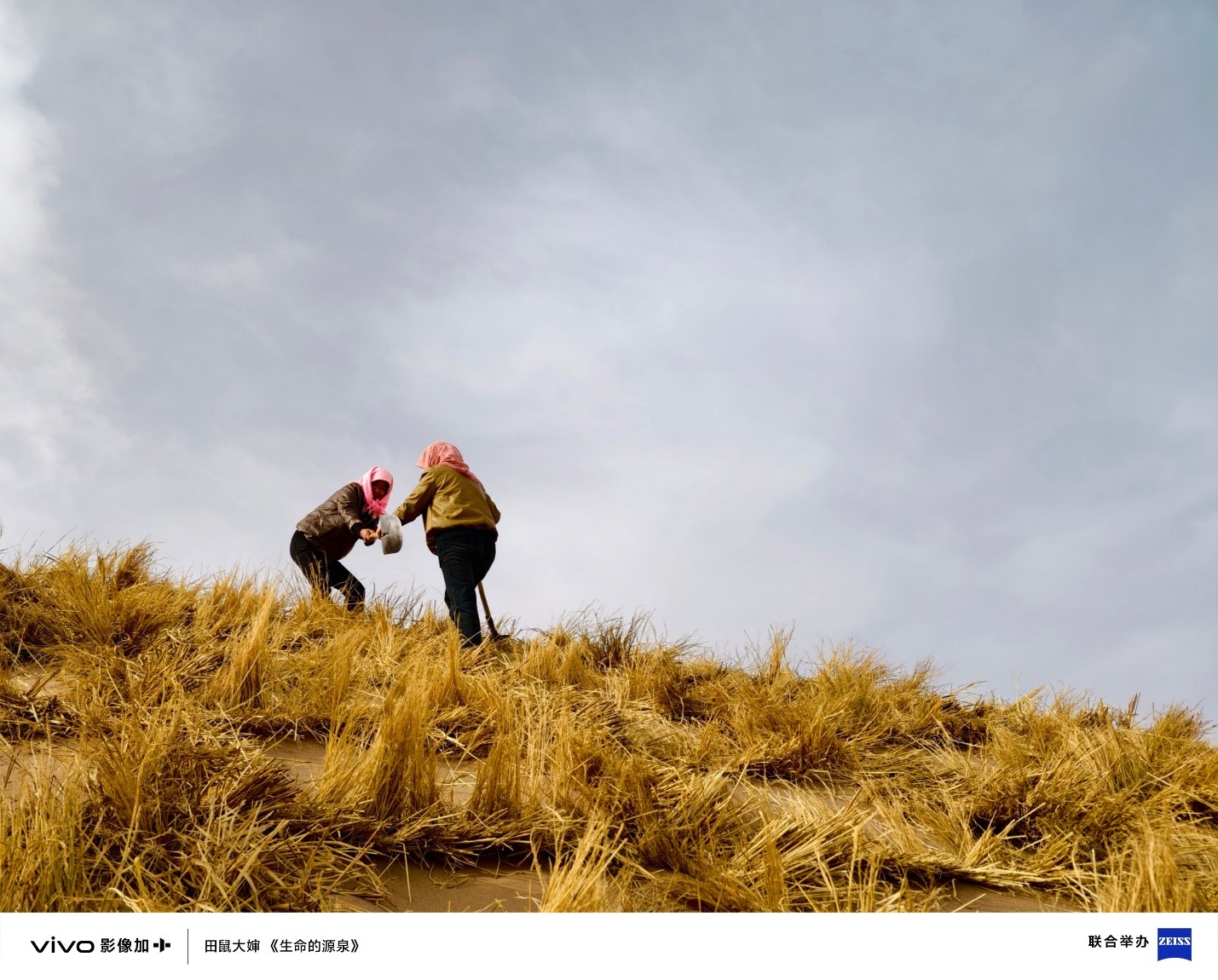 1755825686134773.jpg 14.jpg