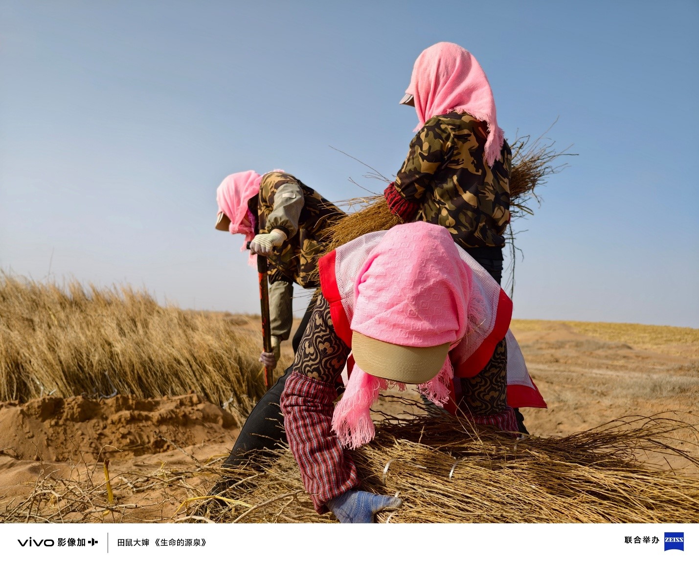 1755825701456408.jpg 13.jpg