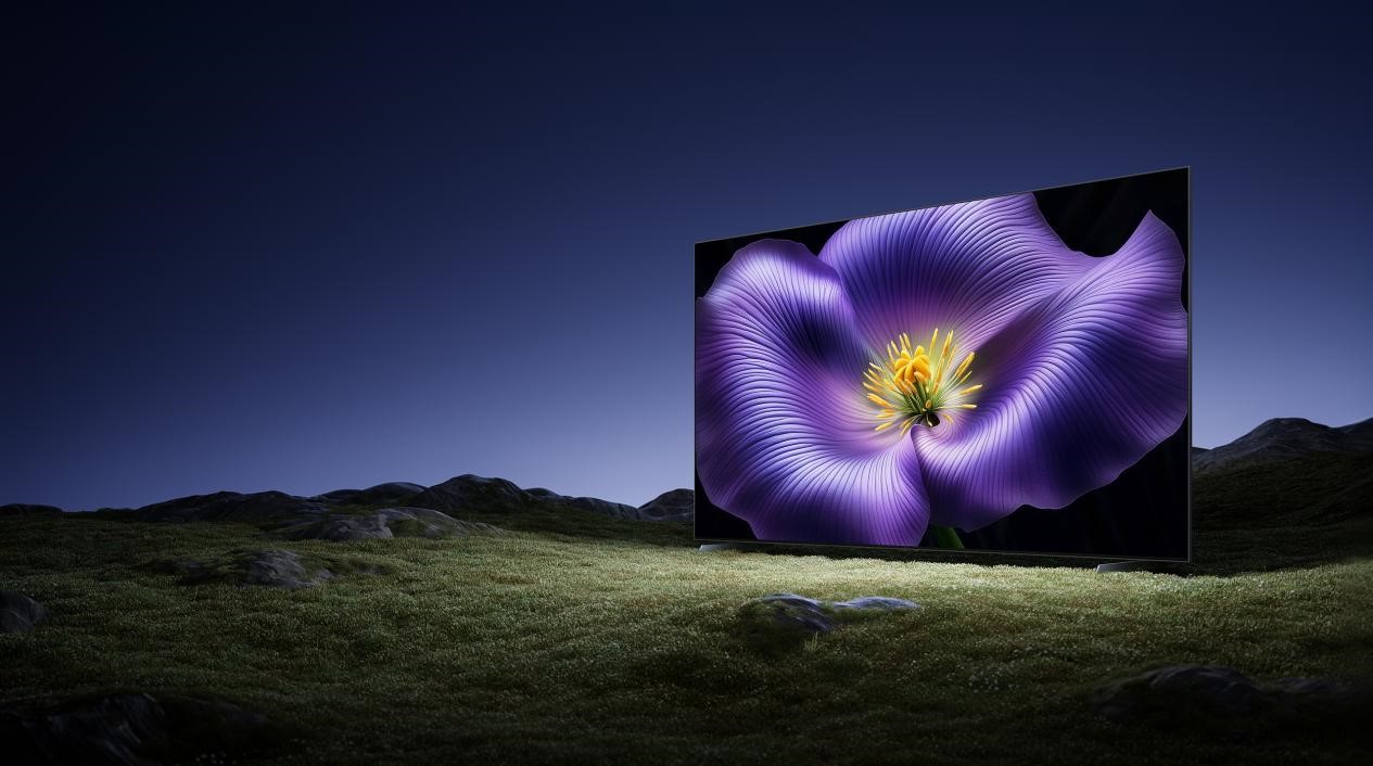 1758851928362851.jpg 1.jpg