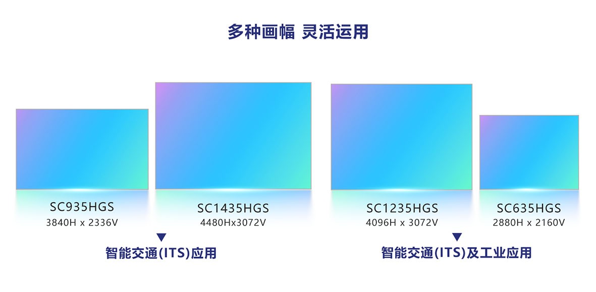 1764223615202221.jpg 5.jpg