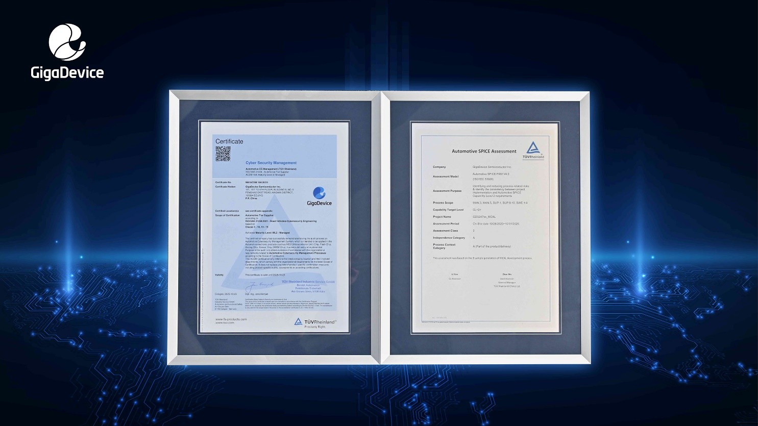 1765358441586855.jpg 1.jpg